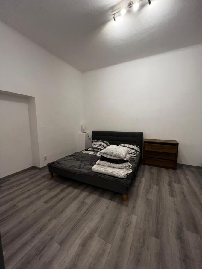 Mlynsky Ostrov Apartment 2 Zdice Zewnętrze zdjęcie