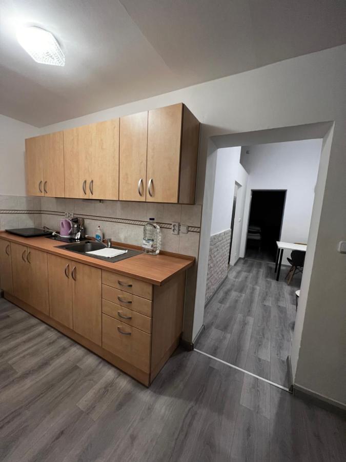 Mlynsky Ostrov Apartment 2 Zdice Zewnętrze zdjęcie